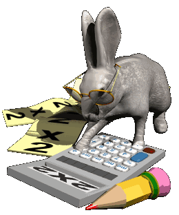 a bunny doing math