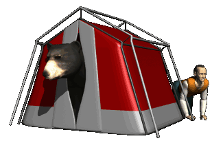 a bear in some guy's tent while the guy crawls in the background